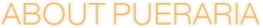 ABOUT PUERARIA
